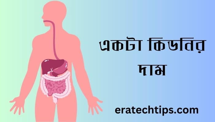 একটা কিডনির দাম