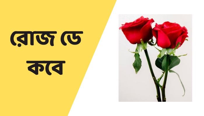 রোজ ডে কবে