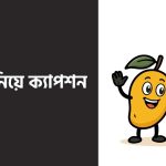 আম নিয়ে ক্যাপশন