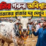 কোরবানির গরুর দাম