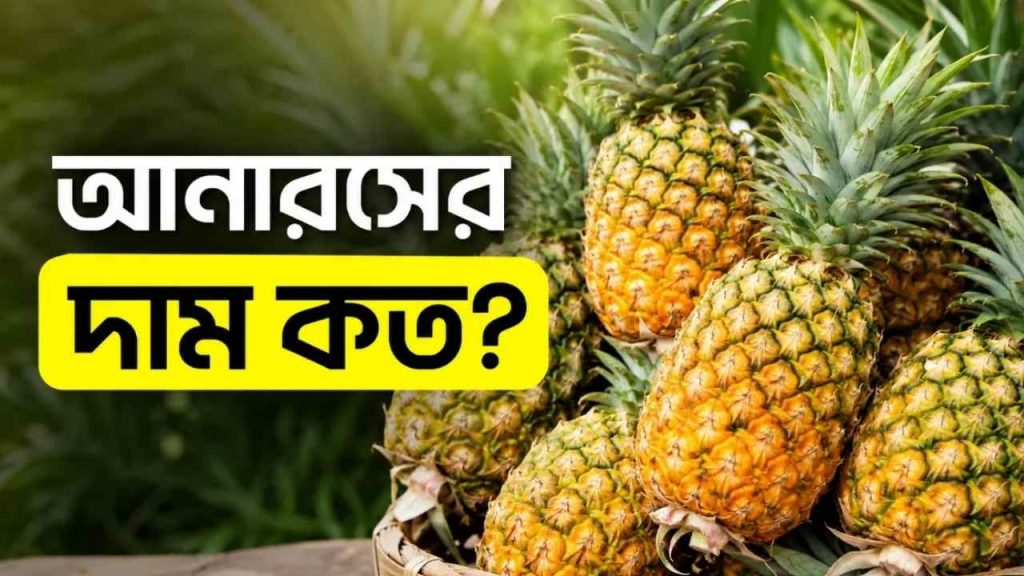আনারসের দাম কত বাজারে পাইকারি ও খুচরা মূল্য - একটি মাঝারি সাইজের পাকা আনারস