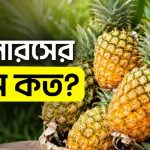 আনারসের দাম কত বাজারে পাইকারি ও খুচরা মূল্য - একটি মাঝারি সাইজের পাকা আনারস