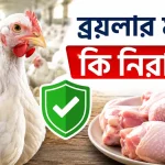 ব্রয়লার মুরগি কি নিরাপদ
