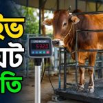 লাইভ ওয়েট পদ্ধতি
