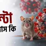 হান্টা ভাইরাস কি