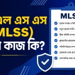 এম এল এস এস (MLSS) পদের কাজ কি