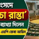 সংসদে ‘কাঁচা রাস্তা’ বলার ব্যাখ্যা দিলেন আলোচিত এমপি জেবা আমিন