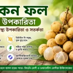 লটকন ফল এর উপকারিতা, পুষ্টিগুণ, ভিটামিন সি, স্বাস্থ্য উপকারিতা ও সতর্কতা বিষয়ক তথ্যচিত্র